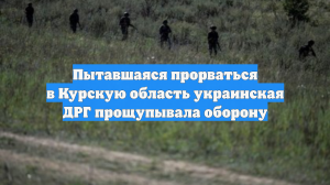 Пытавшаяся прорваться в Курскую область украинская ДРГ прощупывала оборону