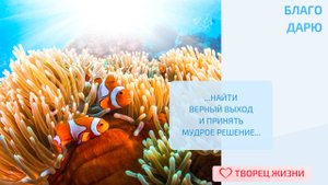 Благодарю за возможность помнить и использовать свой предыдущий опыт!