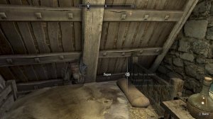 Skyrim. Лидия просыпается в стену