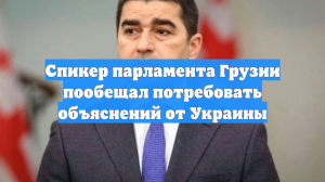 Спикер парламента Грузии пообещал потребовать объяснений от Украины