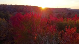 Лето закончилось