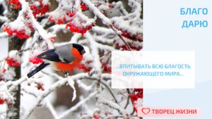 Благодарю за свой Путь!