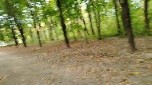 Гуляю на природе - (2)