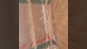 1000034783.mp4 (Собака наблюдает за устройством откосов у оконных проёмов в м/комнате дома А-фрейм)