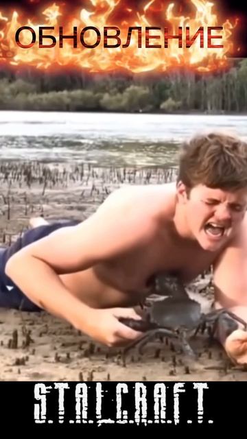 Еженедельное обновление Сталкрафт смотреть онлайн