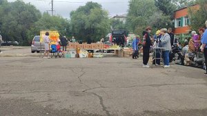 г.Благовещенск моно Английских кокеров спаниелей 13.09.25 класс Беби