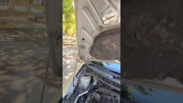 NISSAN TIIDA смотреть онлайн