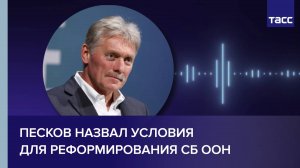 Песков назвал условия для реформирования СБ ООН