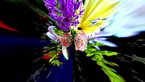 С Днём Рождения! Букеты роз от Киностудии Мудрого Кота Тимофея!