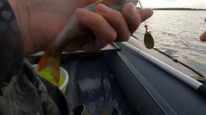 На рыбалке с женой! Офигенный отдых и рыбалка на природе с ночёвкой с палаткой!