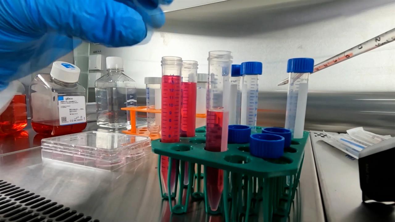 В Минздраве объяснили, почему вакцина от рака получила название "ЭнтероМикс"