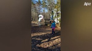 NEW! America′s Funniest Home Videos. Gender Reveal Gone Wrong 😂 Funny Family Fails