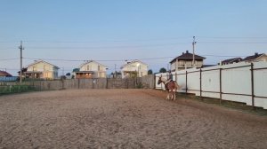 Анна и Каспер, проезд схемы КПД с ошибкой на плацу.