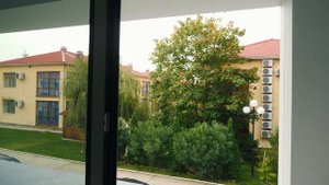 СКК Моне: новости