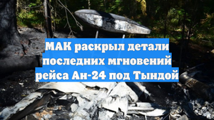 МАК раскрыл детали последних мгновений рейса Ан-24 под Тындой
