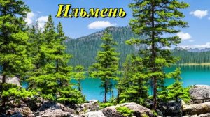 Озеро Ильмень