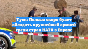 Туск: Польша скоро будет обладать крупнейшей армией среди стран НАТО в Европе