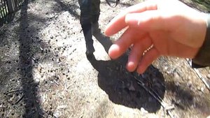 Летние полевые сборы Патриот 2018