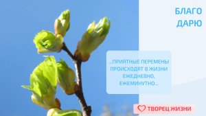 Благодарю за возможность обретения счастья и гармонии!