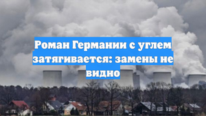 Роман Германии с углем затягивается: замены не видно