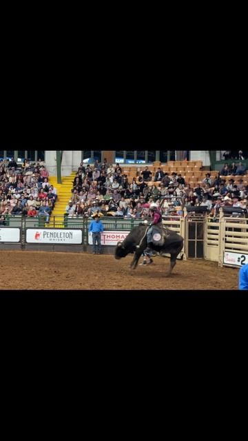 🤠 Родео в сердце Техаса