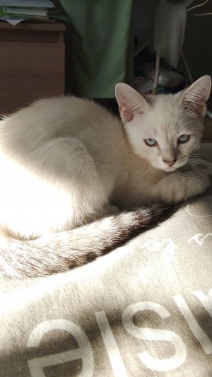 Моя любимая луночка.