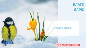 Благодарю за возможность познания!