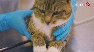 Область счастливых людей: Екатерина Чуйкова