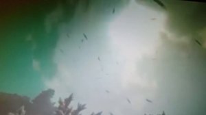 Угол комнаты два на два.  читает автор Богдан Бандура.