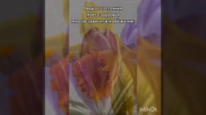 Благодарю за физическую форму!