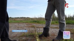 Зоозащитники обеспокены содержанием животных в одном из хозяйств Вологодской области.