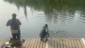 Поимка на бомбарду