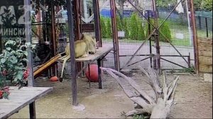 Шархан обед 17.09.2025