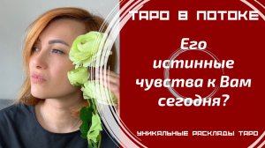 Его истинные чувства к Вам сегодня?