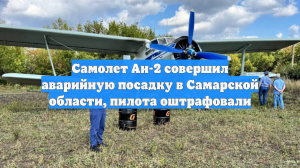 Самолет Ан-2 совершил аварийную посадку в Самарской области, пилота оштрафовали