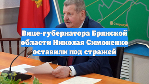 Вице-губернатора Брянской области Николая Симоненко оставили под стражей