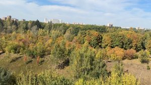 Красивая осень