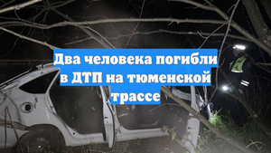 Два человека погибли в ДТП на тюменской трассе