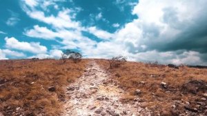 Красивое чтение Корана عبدالله الموسي