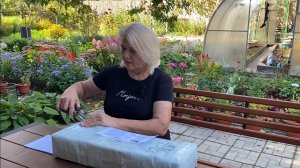 И снова новинки для 4 соток, распаковка посылки