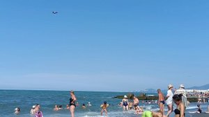 Адлер 2025