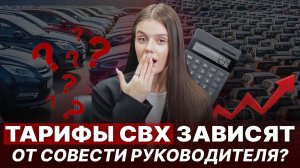Перестой на СВХ: кто виноват? | Таможня vs Склад 🔹Высокие цены за перестрой на СВХ