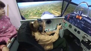 тренажер самолета Амина обучение