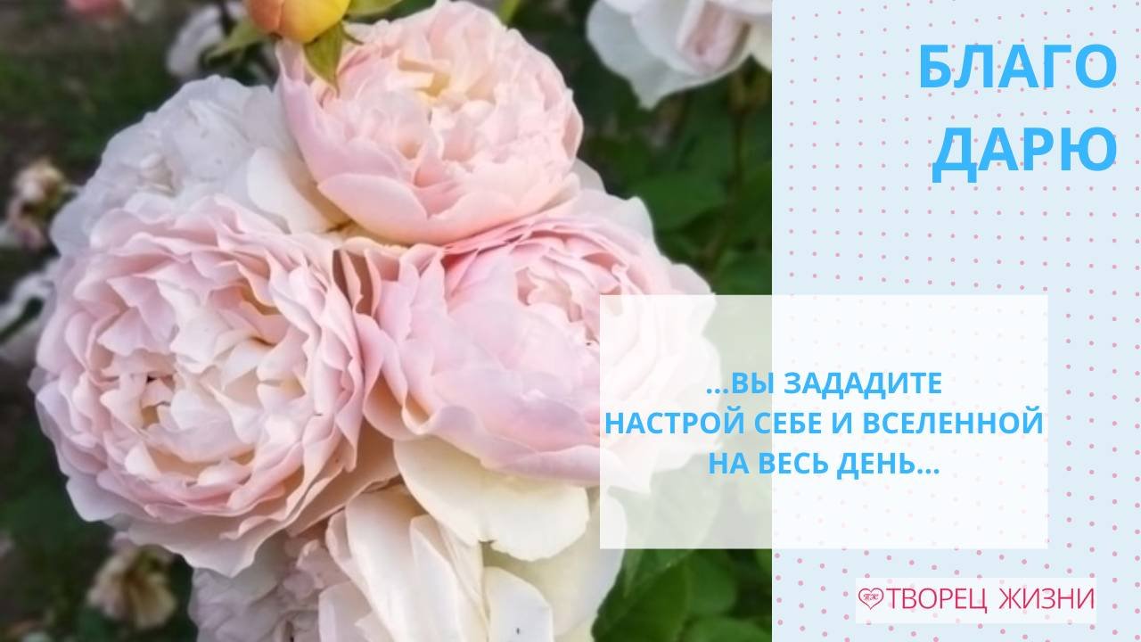 Благодарю за разнообразие окружающего мира!