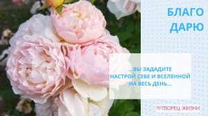 Благодарю за разнообразие окружающего мира!