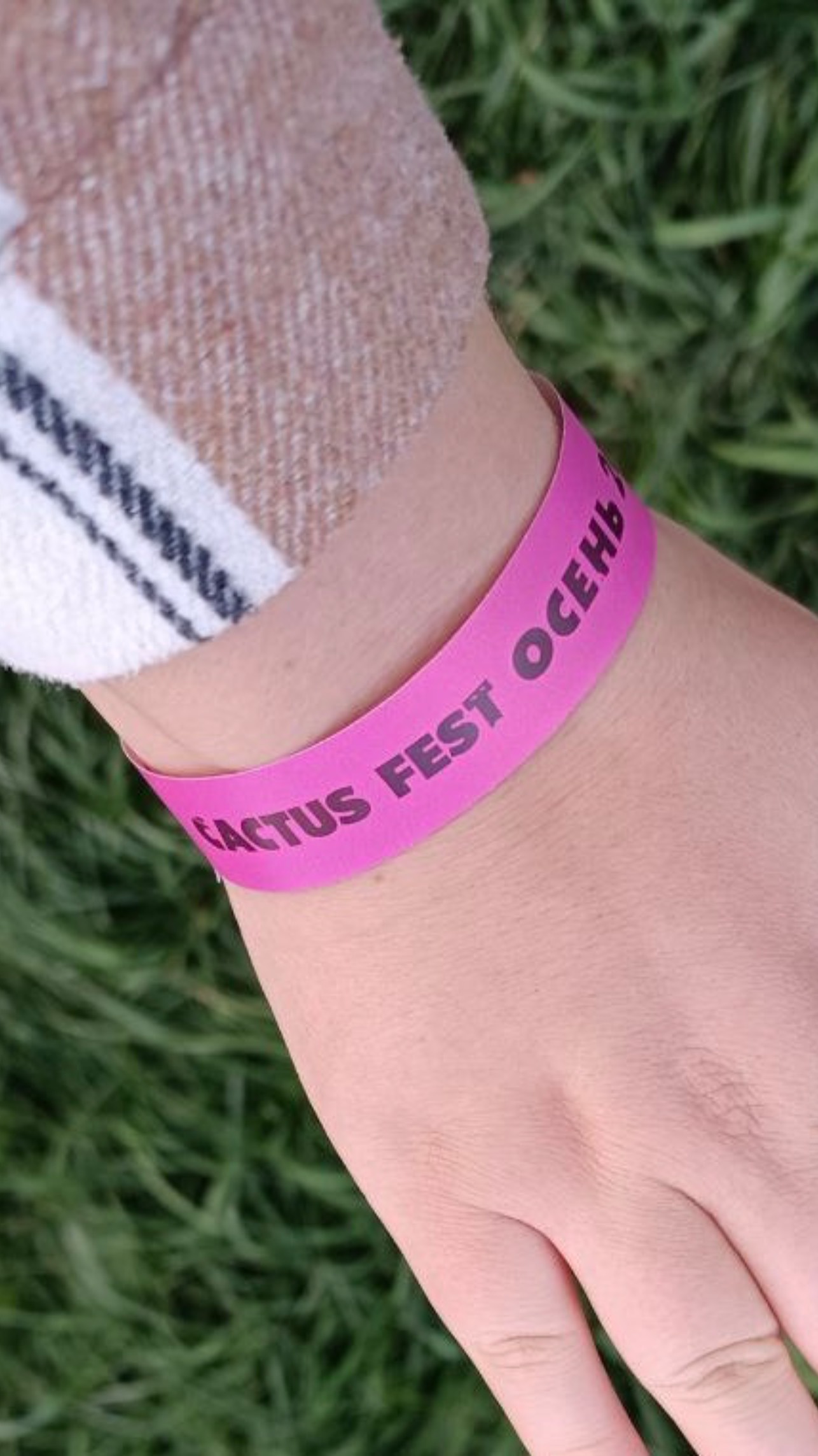 Осенний Кактус Фест 2025 смотреть онлайн