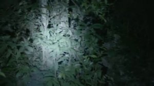 GPDesign - Освещаем светлое будущее!