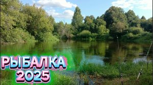 ПРИЕХАЛИ РЫБАЛКУ! С ПЛЕМЯННИКОМ | НА НОЛЬКУ | 18.07.2025 ГОДА ИТОГ! #fishing #рыбалка