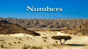 22. ПОЧЕМУ БОГ ПОЗВОЛЯЕТ ТО, ЧТО НЕ ОДОБРЯЕТ_Числа_КТ, Миссионерский центр "Святая радость"