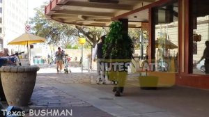 Bushman Prank_ Instant Laugh 2022!!